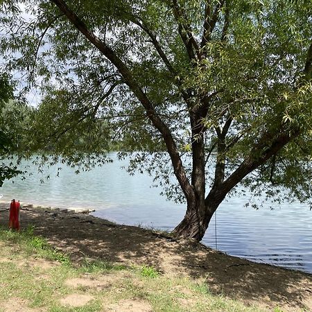 Camping Oaza Бела-Црква Екстер'єр фото
